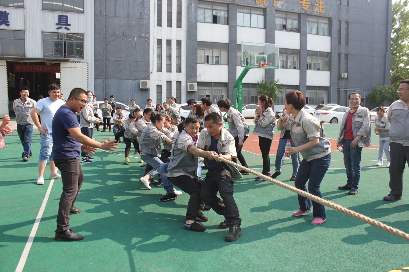 首页- J9集团国际站官网入口