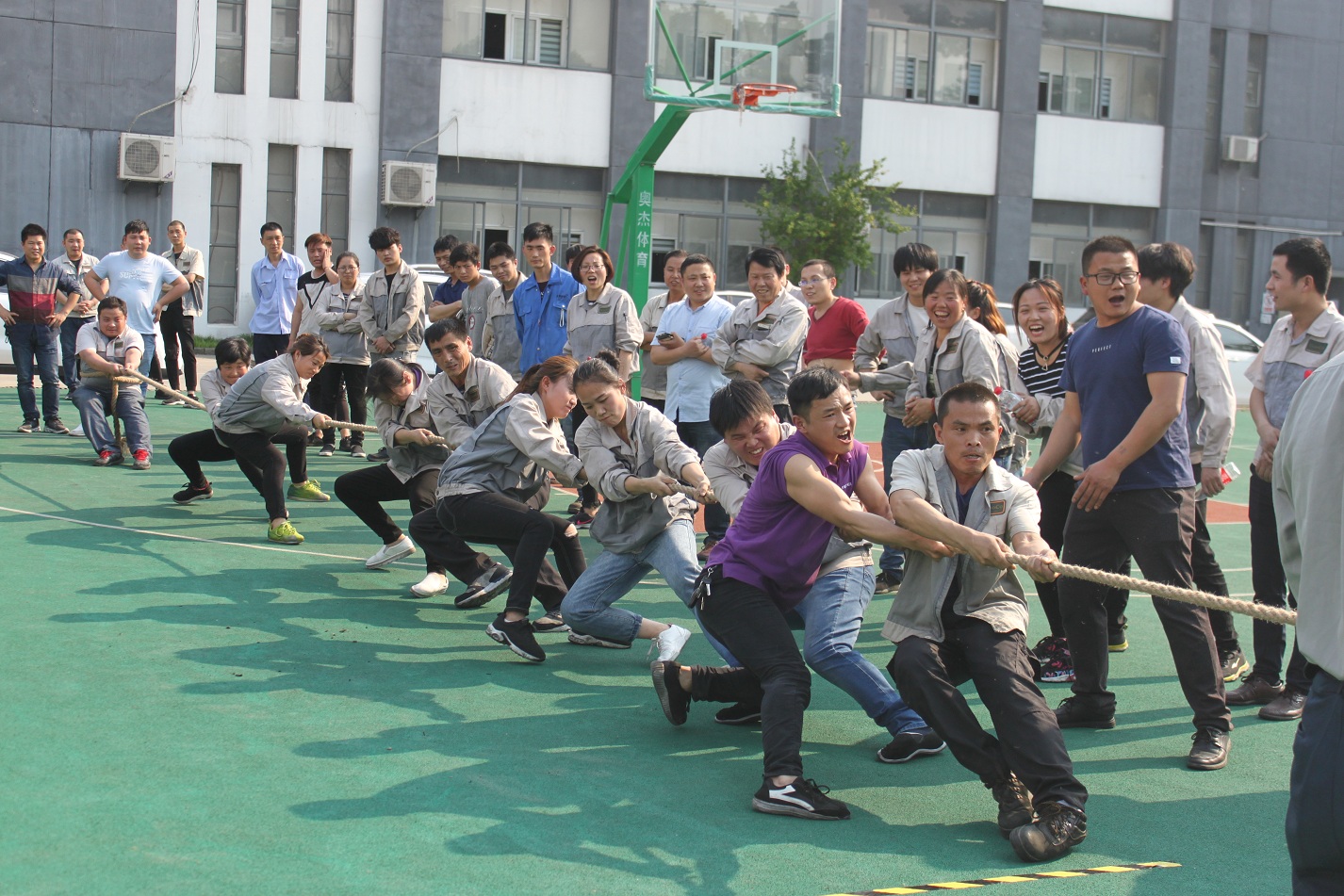 首页- J9集团国际站官网入口