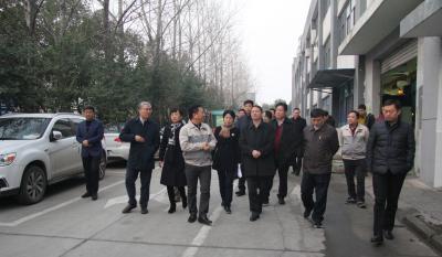 十年J9集团伴我行 又添春雨沐东风 ——记天津津南区党政代表团光临合肥J9集团调查领导