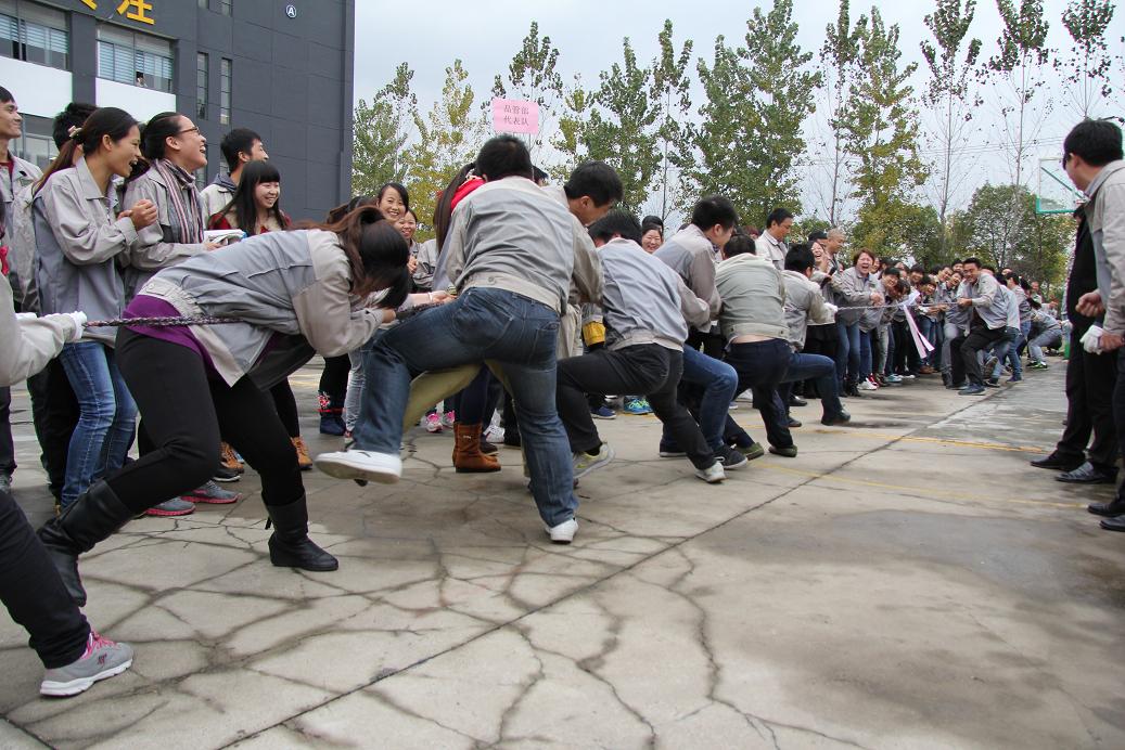 首页- J9集团国际站官网入口